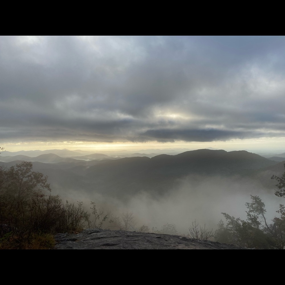 Meet your Posher, Abbey